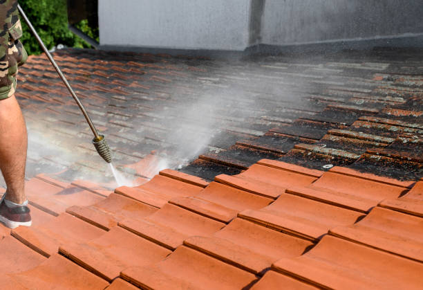 Best Exterior Home Cleaning  in Teague, TX