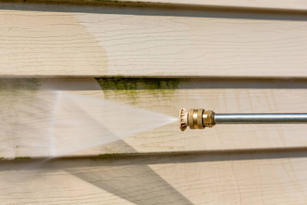 Best Roof Pressure Washing  in Teague, TX